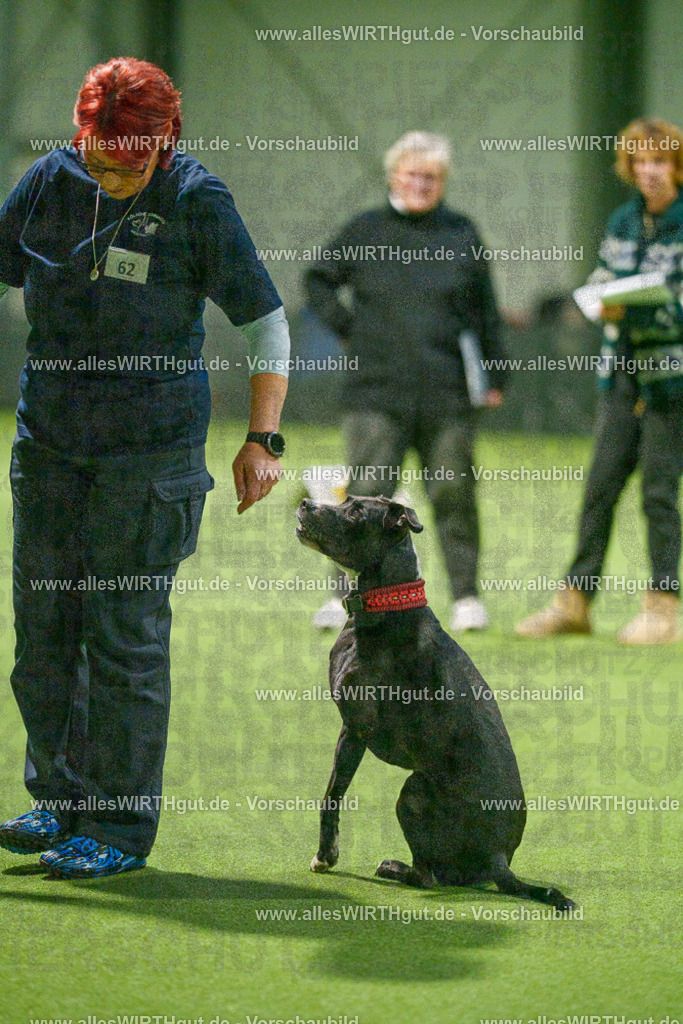 7R507435 | Professionelle Tierfotografie in Mönchengladbach von Daniel Wirth (allesWIRTHgut). Liebevolle & natürliche Bilder von Hunden & Katzen für unvergessliche Erinnerungen.