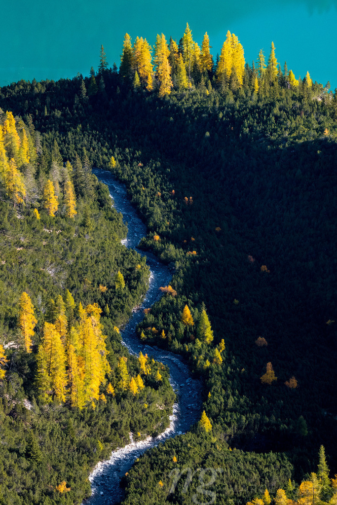yellow larches and a turquoise colored alpine lake in beautiful autumn colors in Engadin | Die ideale Geschenkidee für Naturliebhaber. Naturbilder von Marcel Gross Photography für ihr Zuhause in den verschiedensten Formaten und Materialien. - Realisiert mit Pictrs.com