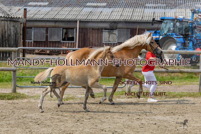 0P2A3426 | mandyhollmannphotographie