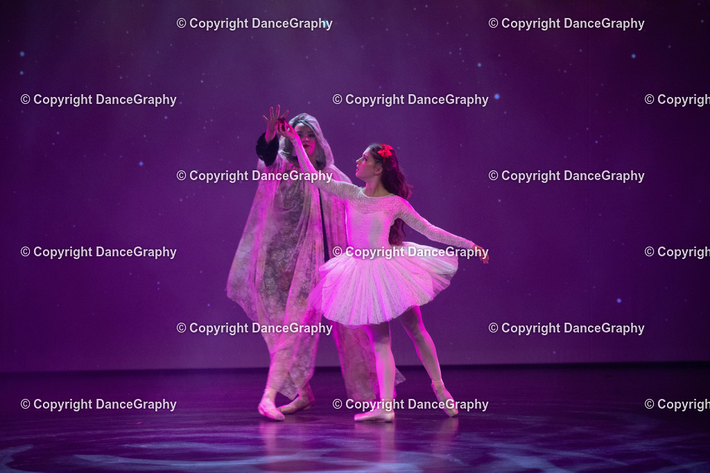 GPHY2231 | DanceGraphy - Realisiert mit Pictrs.com