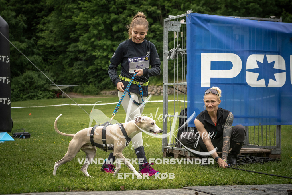 1101_ZZ95819 | kk-dogfotos