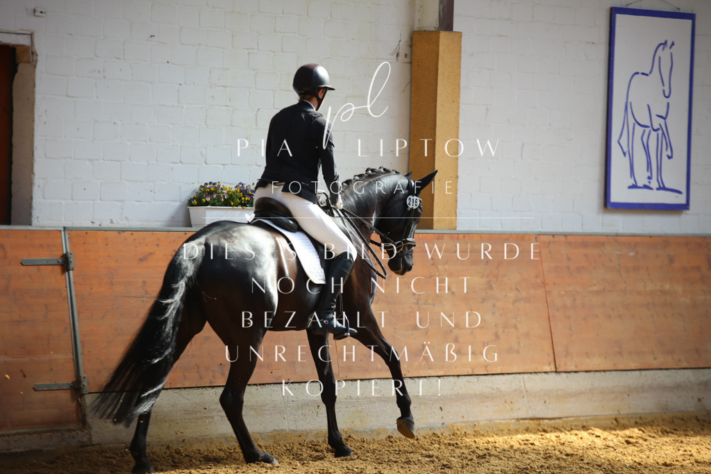 IMGT6812 | pl-fotografie