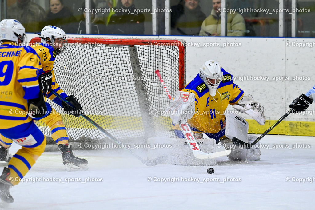 EHC Althofen vs. ESC Steindorf 27.2.2023 | #31 Horn Fabian