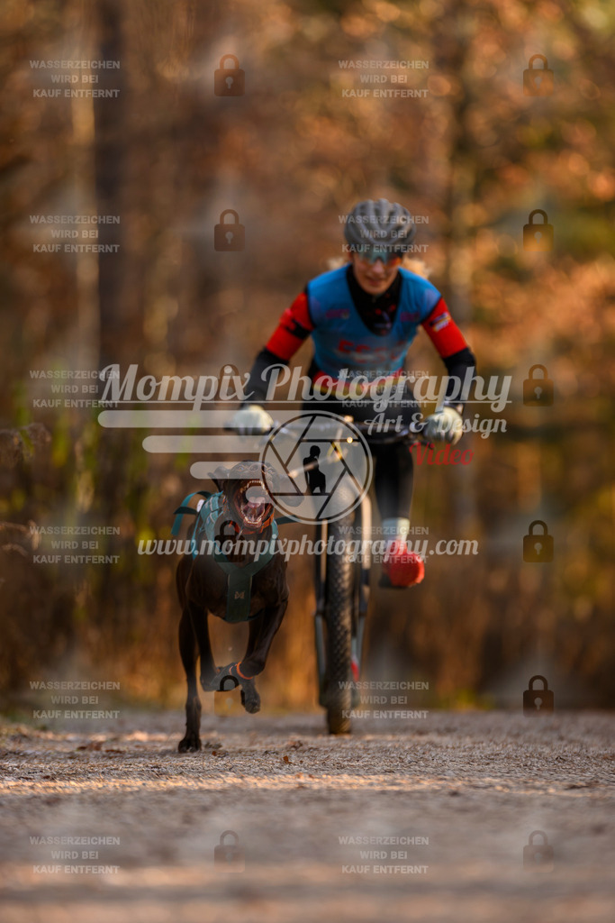 MompixPhotography_DM_AKDM_SO_2025_Scooter-73 | PayLife