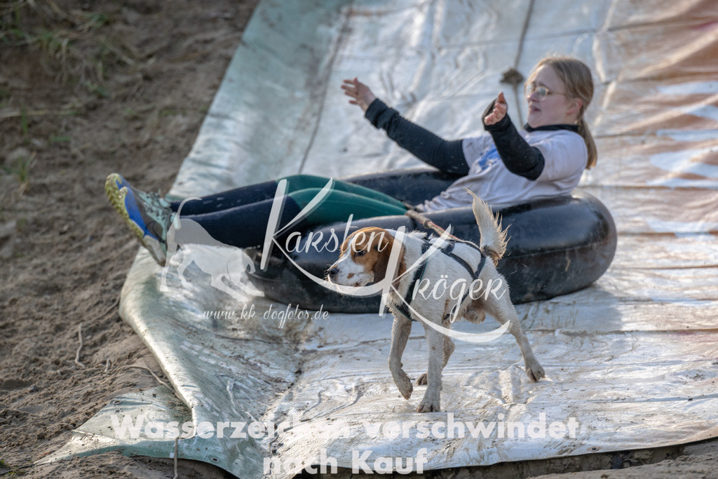 1636_ZZ92994 | kk-dogfotos