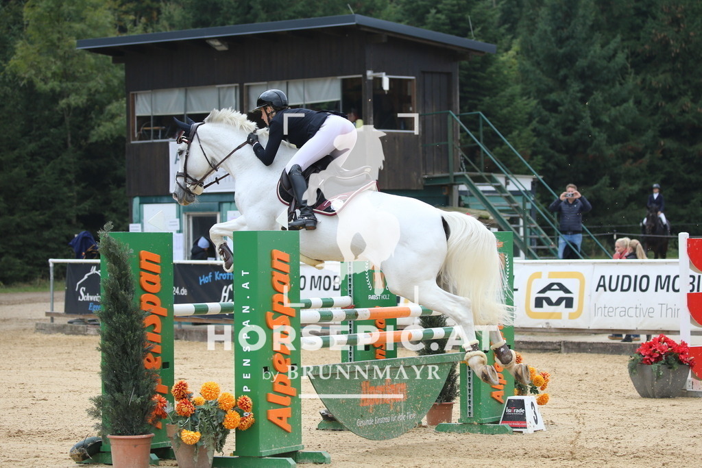 DL2Q1392 | Willkommen bei Brunnmayr - Design & Fotografie – Ihrem Spezialisten für Reitturniere und Pferdeveranstaltungen in Oberösterreich, Salzburg und Bayern! Seit über 17 Jahren sind wir leidenschaftlich dabei.