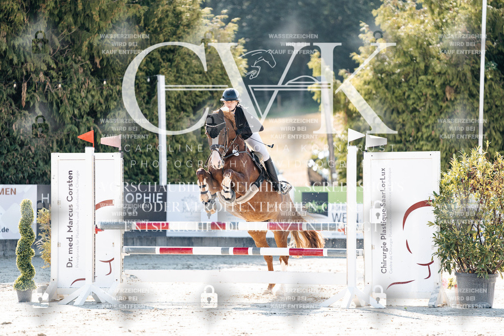 CK907760 | Turnierfotografie Pferdefotografie Trier Rheinland-Pfalz Pferdesport Reitsport Tierfotografie Sportfotografie Pferdevideo Pferdevideografie Equestrianvideography equestrianphotography  - Realisiert mit Pictrs.com