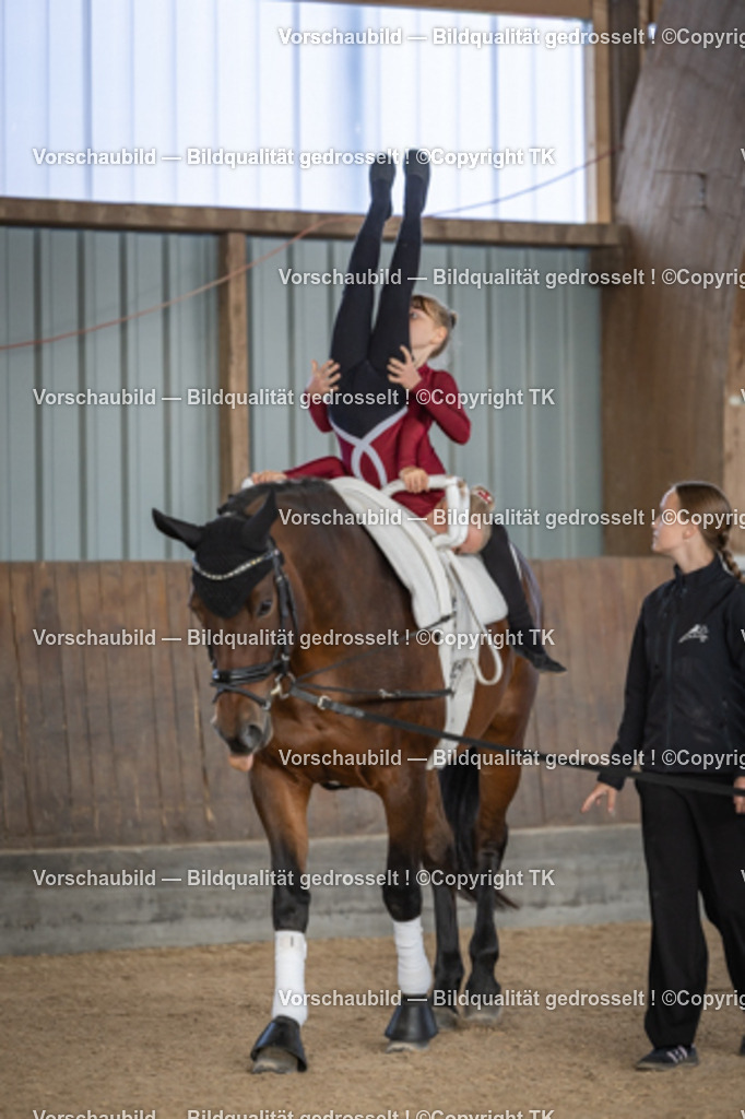 _D5A6713 | Emotionale Pferde- & People-Fotografie rund um Heidelberg, Leimen & Umgebung. Natürliche Fotos von Pferd, Mensch & Familie. Jetzt Termin sichern!