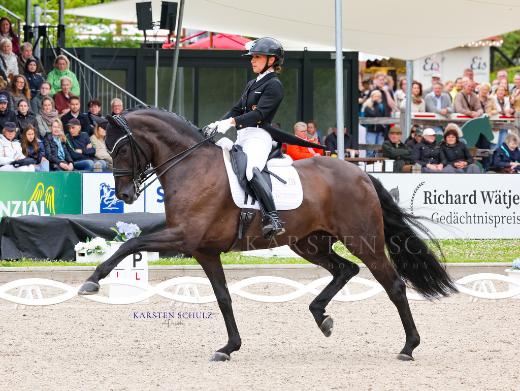 IMG_0111 | Reitsport Reiten