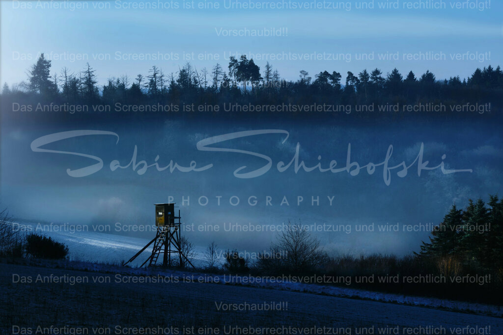 Wandbild Morgenlicht in der Eifel | Ein Morgenspaziergang mit besonderem Flair. - Realisiert mit Pictrs.com