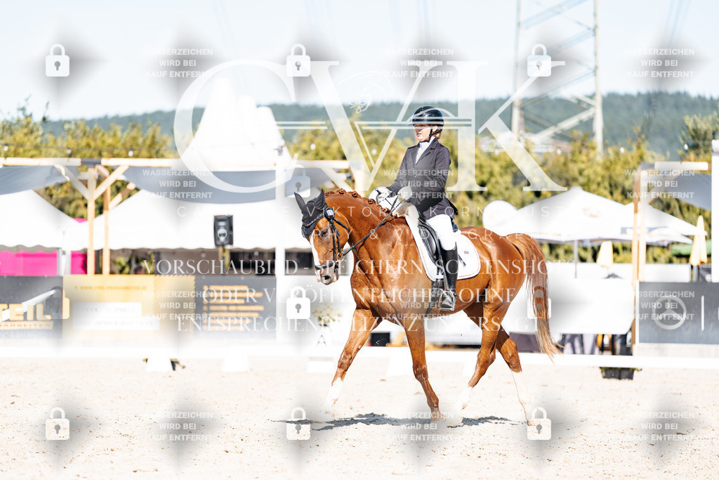 CK908800 | Turnierfotografie Pferdefotografie Trier Rheinland-Pfalz Pferdesport Reitsport Tierfotografie Sportfotografie Pferdevideo Pferdevideografie Equestrianvideography equestrianphotography  - Realisiert mit Pictrs.com