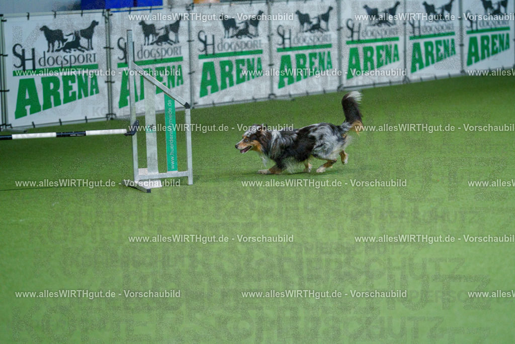 @allesWIRTHgut_Tierfotografie - www.allesWIRTHgut.de - 2604250958-7R509357 | Professionelle Tierfotografie in Mönchengladbach von Daniel Wirth (allesWIRTHgut). Liebevolle & natürliche Bilder von Hunden & Katzen für unvergessliche Erinnerungen.