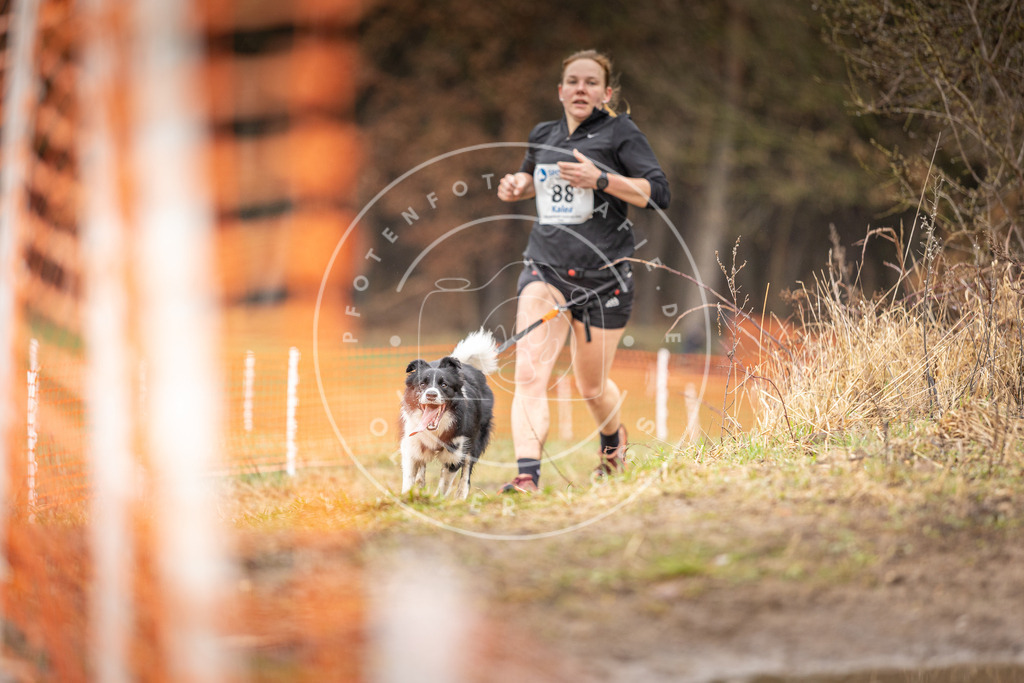 DV3A0381 | Hundefotografie, Tierfotograf, Pfotenfotografie, Fotoshooting Hund, Hunde Portrait, Hundesport, Hundeportraits, Heideshooting, Hunde, Sportfotograf, Hundefotograf, Turnierhundsport, THS,  - Realisiert mit Pictrs.com