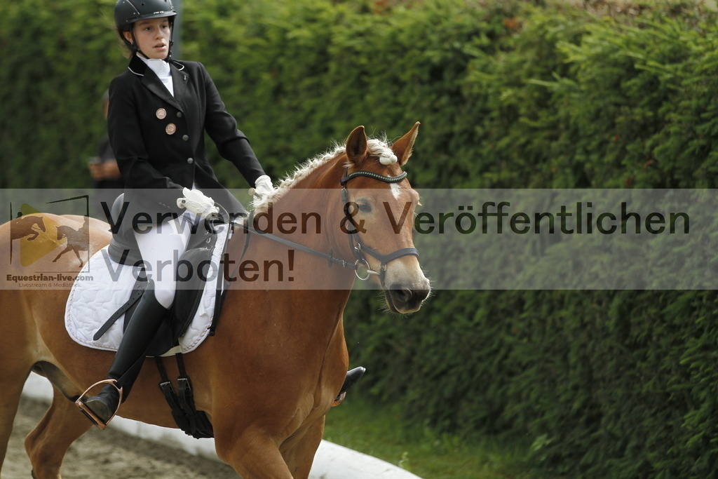 _MG_1117 | equestrian-live-com