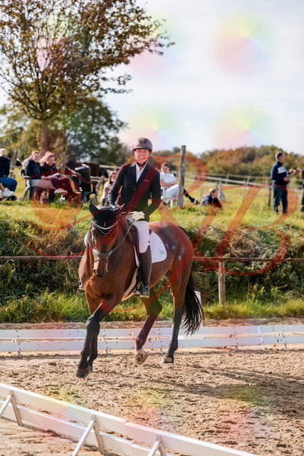 2026_10_03_Siefer-Hof_122643_Z63_47176973 | Professionelle Reitsport-, Turnier- und Eventfotografie von Robert Broda. Galerien mit ausgewählten und bearbeiteten Bildern direkt online ansehen und bestellen.