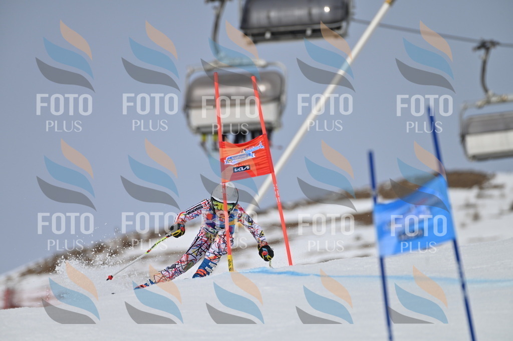 BGV_4964 | holidayphoto