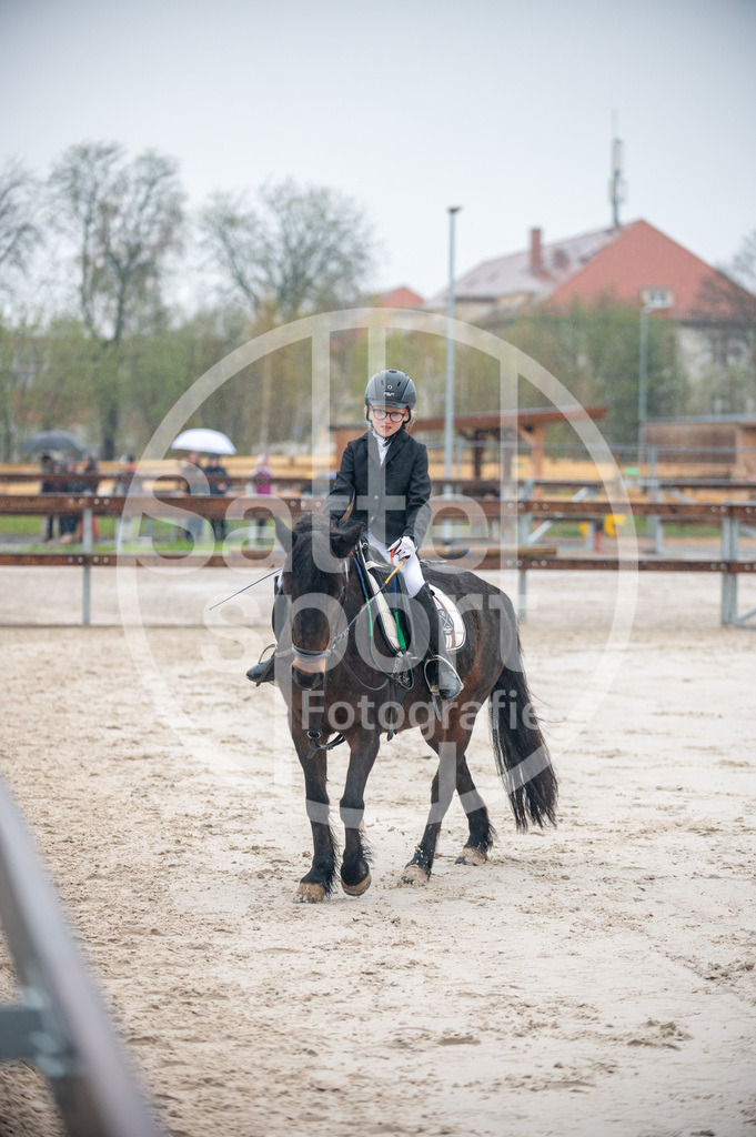 DSC_2657 | sattelsport - Realisiert mit Pictrs.com