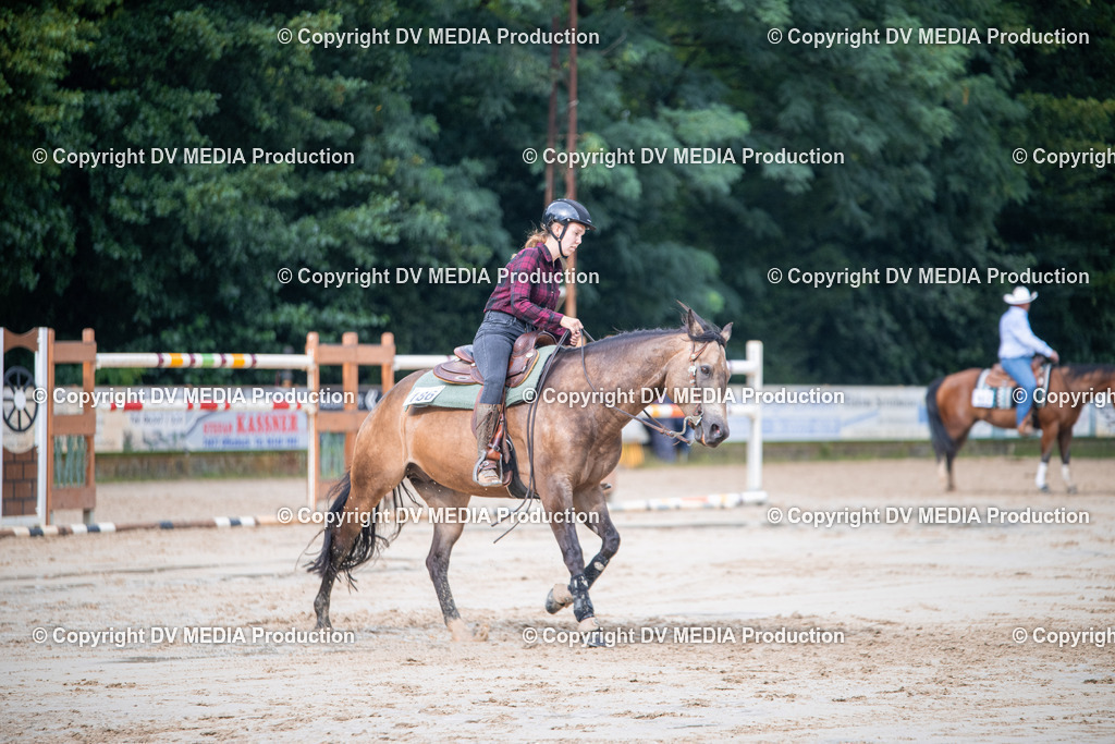 ZS2_4258 | dv-media-shop - Realisiert mit Pictrs.com