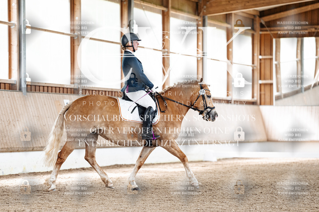 CK900634 | Turnierfotografie Pferdefotografie Trier Rheinland-Pfalz Pferdesport Reitsport Tierfotografie Sportfotografie Pferdevideo Pferdevideografie Equestrianvideography equestrianphotography  - Realisiert mit Pictrs.com