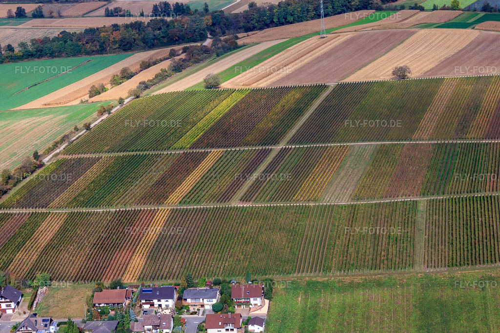 Luftbild: Weinberge zw. Freckenfeld und Winden in Freckenfeld im Bundesland Rheinland-Pfalz in Deutschland. Foto: IMG_22536.jpg vom 15.10.2009 durch Werner Riehm/FLY-FOTO.de