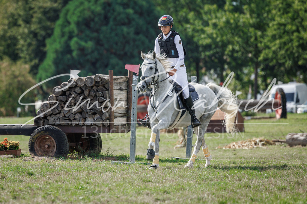 20260905-_3LI9840 | Tierfotografie Pferde, Hunde, Katzen, Haustiere.
Turnierfotografie Reitturniere, Reiten, Springreiten, Dressur in Hanau, dem Main-Kinzig-Kreis und dem Rhein-Main- Gebiet um Frankfurt
