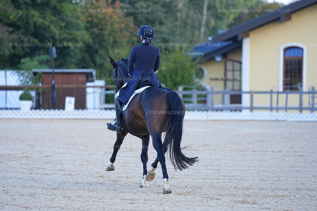 09_1-056-DRESSUR  S_  -Marixx-5636 | working equitationturnier fotograf videograf stoibphotography marixx film working equitation deutschland reitsport turnierfotografie eventfotografie equestrian events