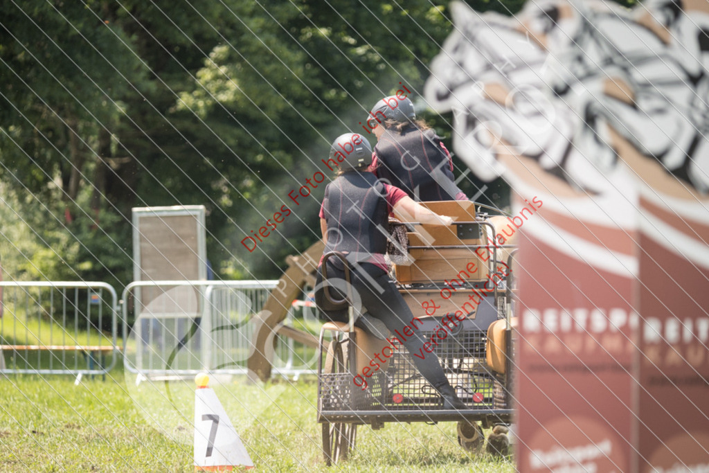 IMG_8511 | Sport-, Event- und Tierfotos in Profiqualität. Einfach auswählen, bestellen und herunterladen. Dein Moment – perfekt festgehalten.