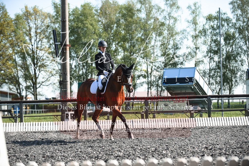 DSC_8655 | Pferde- und Turnierfotografie in Westsachsen. Pferdeportraits, Auftragszeichnungen und intuitive Kunst.