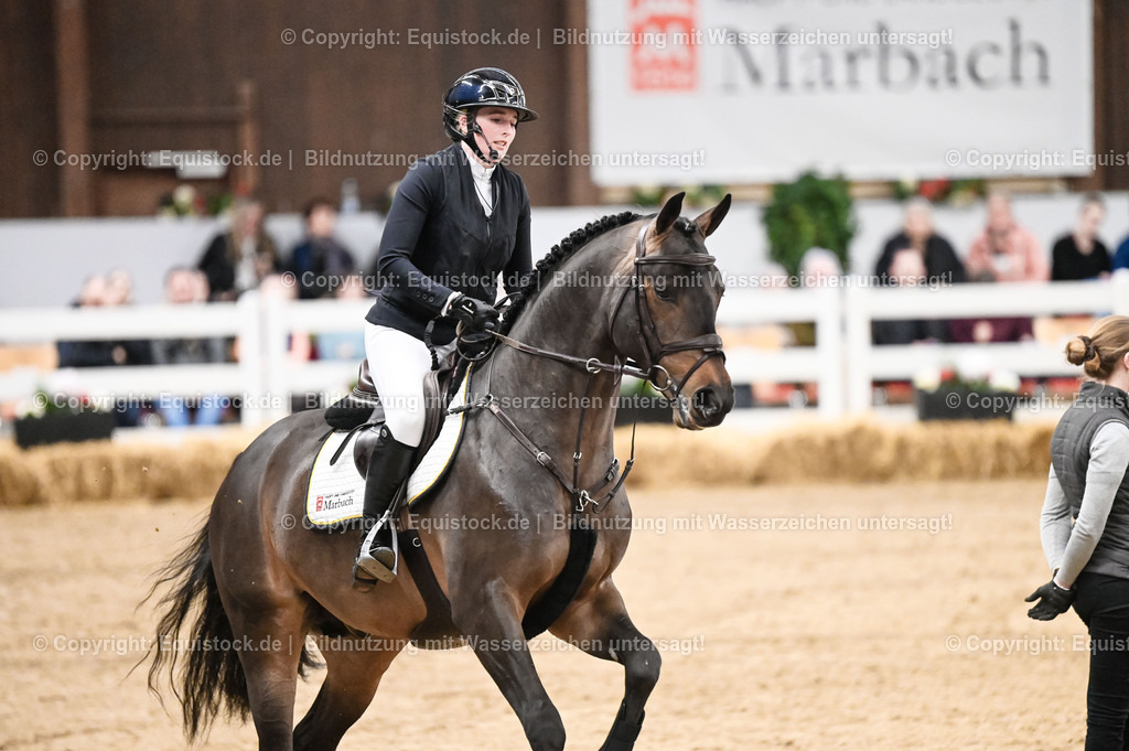 20260307_Hengstvorstellung-Marbach_0117 | equistock