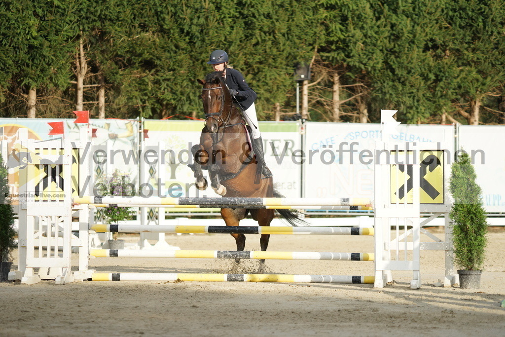 DSC01583 | equestrian-live-com