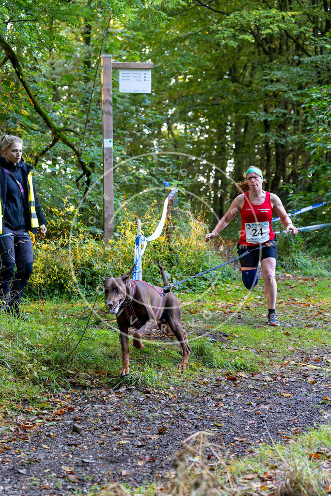 Pfotenfotografie_DV3A6539 | Hundefotografie, Tierfotograf, Pfotenfotografie, Fotoshooting Hund, Hunde Portrait, Hundesport, Hundeportraits, Heideshooting, Hunde, Sportfotograf, Hundefotograf, Turnierhundsport, THS,  - Realisiert mit Pictrs.com