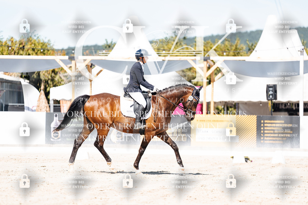 CK909358 | Turnierfotografie Pferdefotografie Trier Rheinland-Pfalz Pferdesport Reitsport Tierfotografie Sportfotografie Pferdevideo Pferdevideografie Equestrianvideography equestrianphotography  - Realisiert mit Pictrs.com