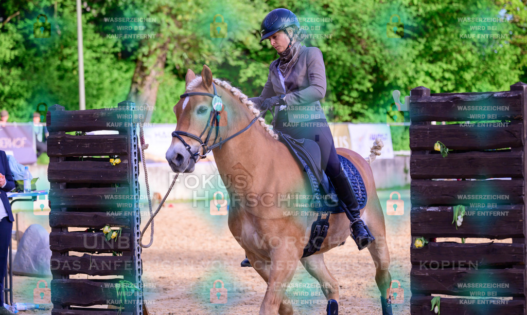 02052026-Giesenbach-03-Speedtrail-0824 | Fokus Hufschlag Fotografie - Realisiert mit Pictrs.com