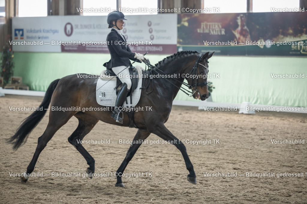 _D5A4681 | Emotionale Pferde- & People-Fotografie rund um Heidelberg, Leimen & Umgebung. Natürliche Fotos von Pferd, Mensch & Familie. Jetzt Termin sichern!