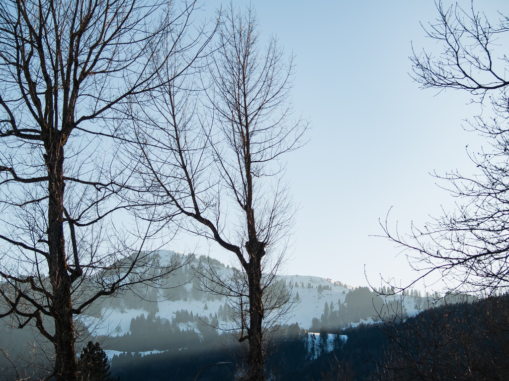 PSX_20230215_233206 | OLYMPUS DIGITAL CAMERA - Realisiert mit Pictrs.com