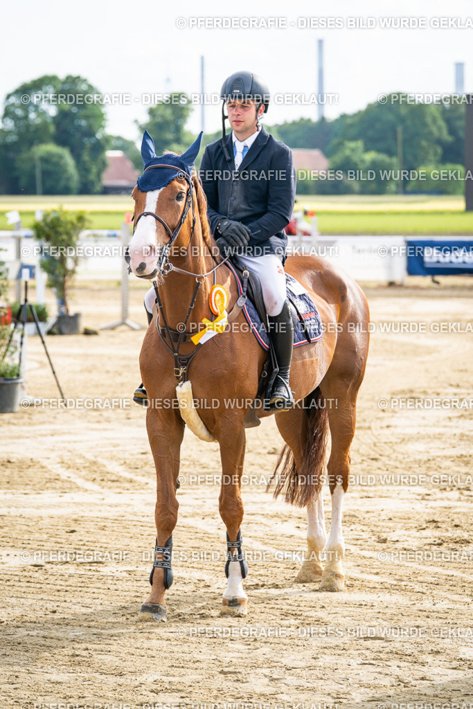 DSC07458 | Pferdegrafie