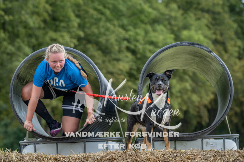 1030_ZZ92374 | kk-dogfotos