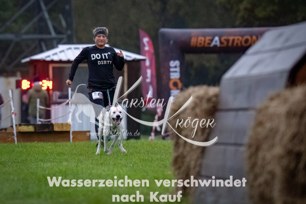 0814-_ZZ90729-Bearbeitet-Bearbeitet | kk-dogfotos