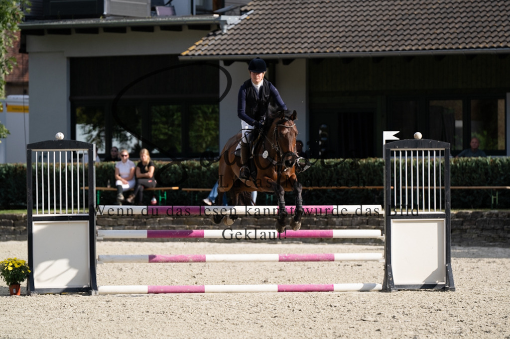 A7V07816 | Pferdefotograf