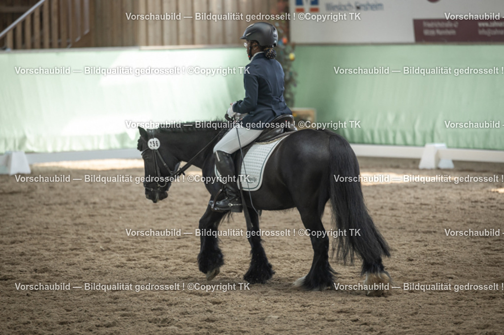 _D5A5555 | Emotionale Pferde- & People-Fotografie rund um Heidelberg, Leimen & Umgebung. Natürliche Fotos von Pferd, Mensch & Familie. Jetzt Termin sichern!