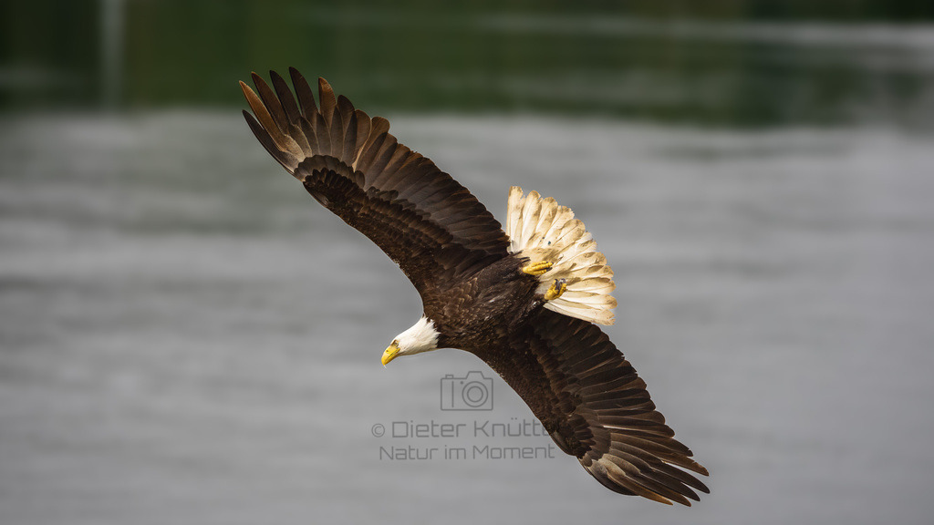 P1628360-Bearbeitet-2023-LR | Natur im Moment - Realisiert mit Pictrs.com