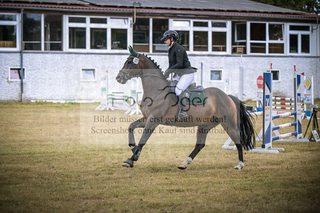 DOS_0379 | Entdecke hochwertige Reitturnierfotos von Foto Oger. Professionell, emotional und authentisch – jetzt Lieblingsmomente im Shop bestellen.Deutschlandweite Turnierfotografie. - Realisiert mit Pictrs.com