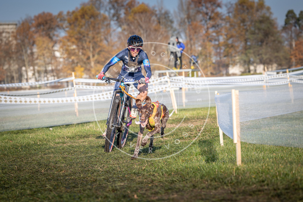 CaniXpix_0L8A4237 | Hundefotografie, Tierfotograf, Pfotenfotografie, Fotoshooting Hund, Hunde Portrait, Hundesport, Hundeportraits, Heideshooting, Hunde, Sportfotograf, Hundefotograf, Turnierhundsport, THS,  - Realisiert mit Pictrs.com