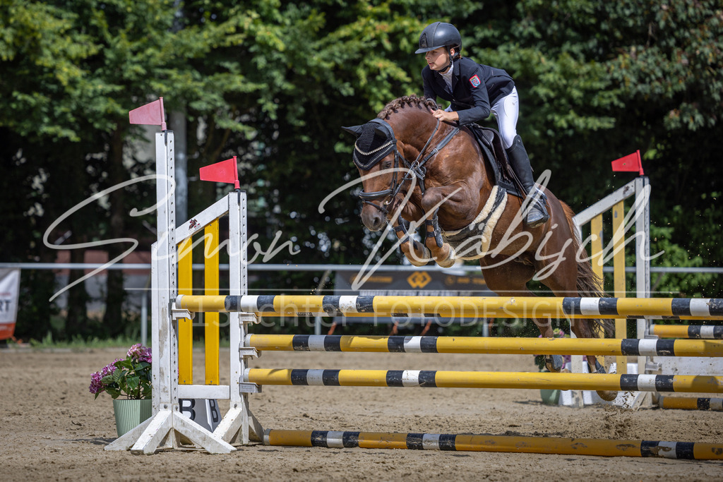20260704-_3LI0775 | Tierfotografie Pferde, Hunde, Katzen, Haustiere.
Turnierfotografie Reitturniere, Reiten, Springreiten, Dressur in Hanau, dem Main-Kinzig-Kreis und dem Rhein-Main- Gebiet um Frankfurt