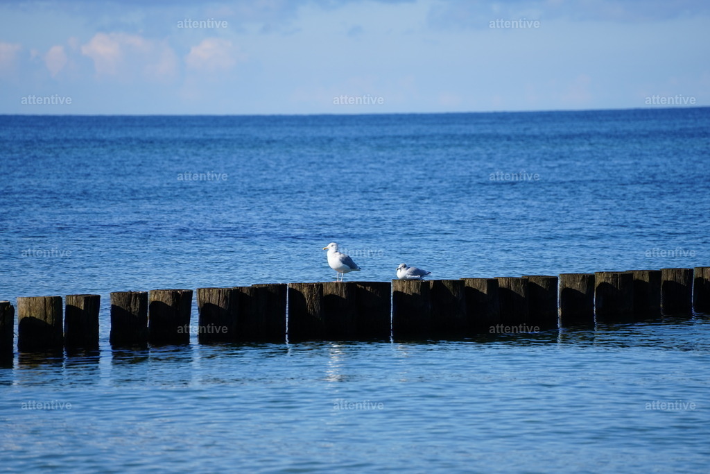 Zwei | Deutschland, Rügen - Realisiert mit Pictrs.com