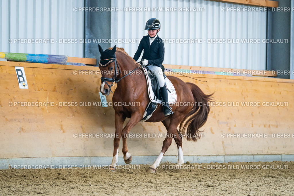 DSC05222 | Pferdegrafie