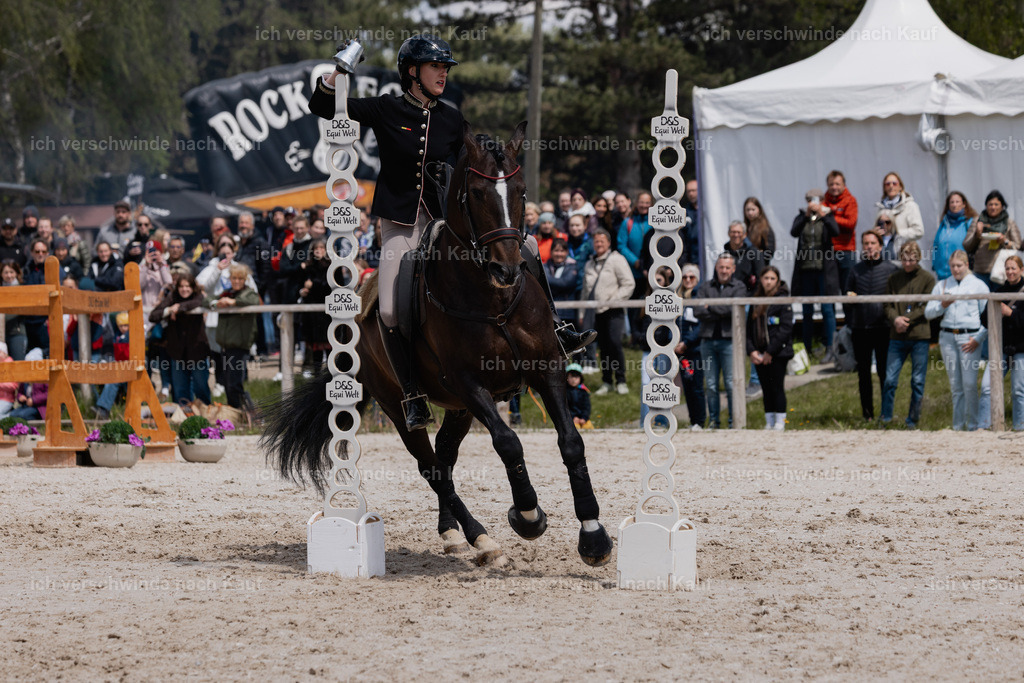 PI26_SP_StoibphotographyC2_C3601.CR3 | working equitationturnier fotograf videograf stoibphotography marixx film working equitation deutschland reitsport turnierfotografie eventfotografie equestrian events