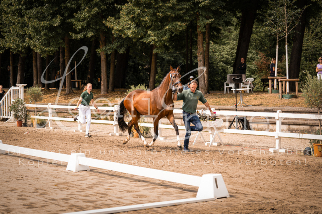 6.Fr00084 | Leoni Ertmer Photography - Realisiert mit Pictrs.com