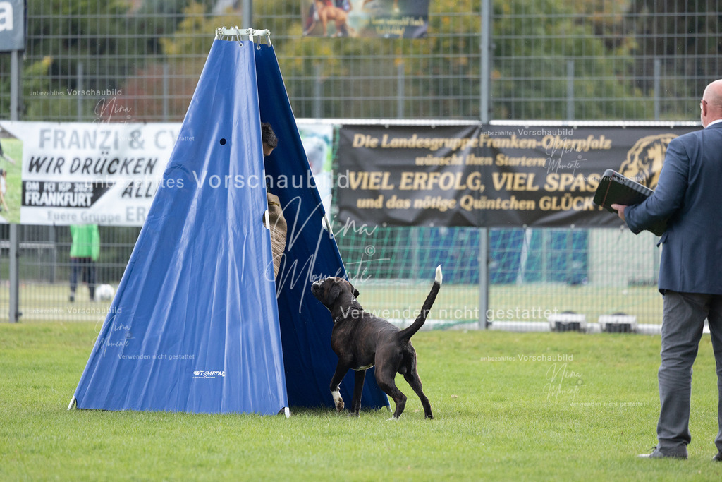 _16A7101 | Einzigartige Fotos von Hunden & Menschen –Actionfotos, Portraits, Vereinsaufnahmen & Paarshootings – authentisch, lebendig & mit Herz.