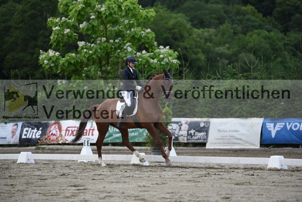 DSC_6581 | equestrian-live-com